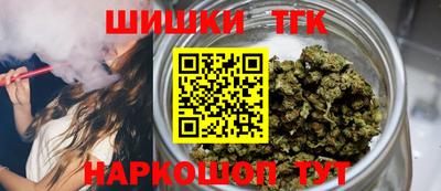 индика Можайск
