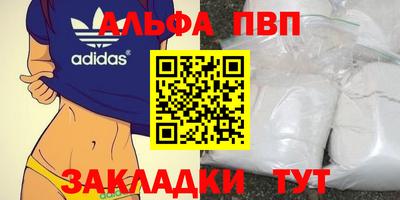 PSILOCYBIN Можга