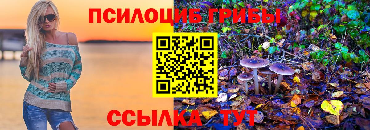 Сарапул  Галлюциногенные грибы GOLDEN TEACHER  Вход с VPN  Галлюциногенные грибы Psilocybe 